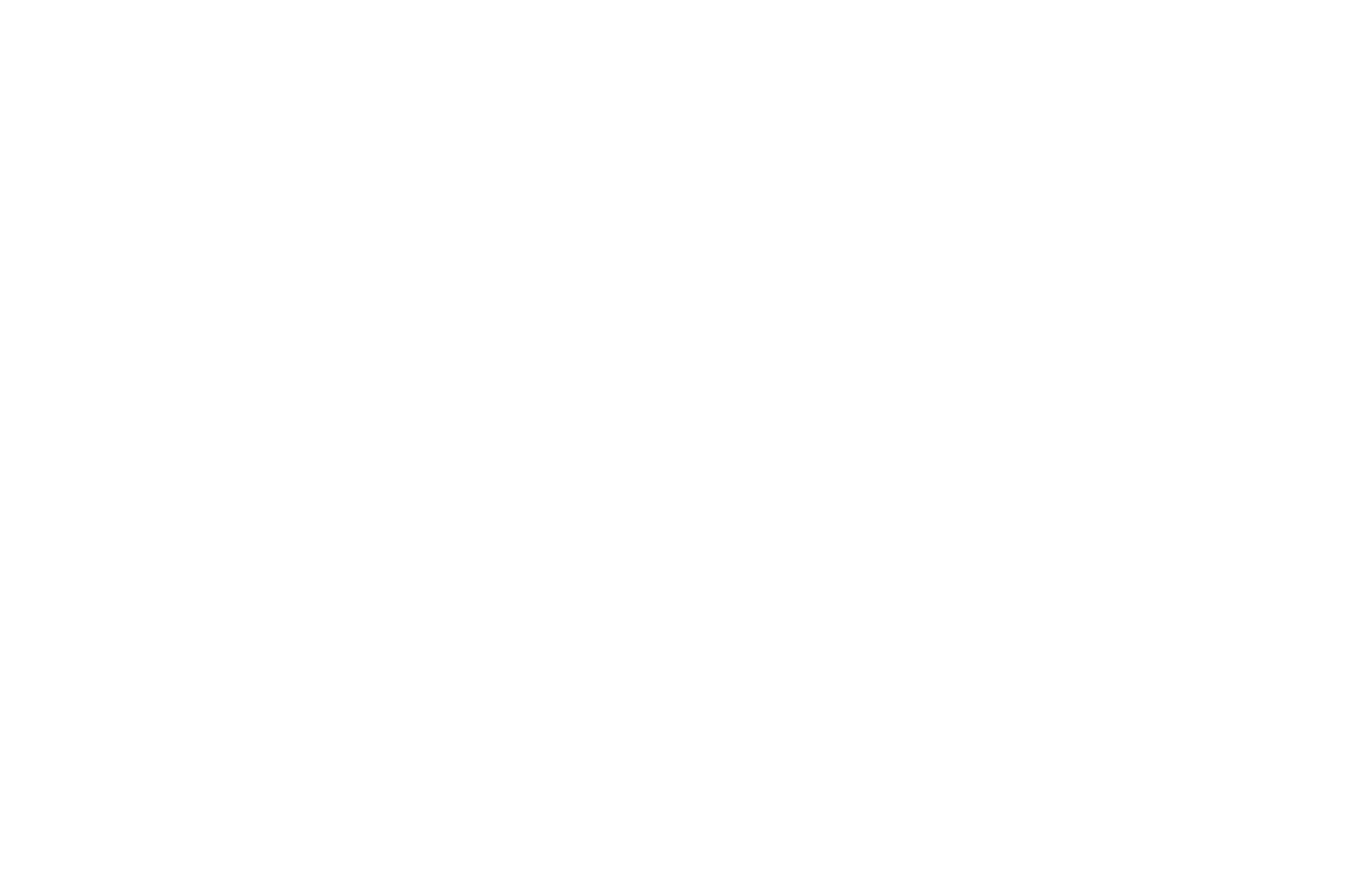 Official Selection — Sofia World Film Festival 2026